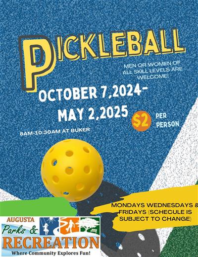 Pickleball 2024